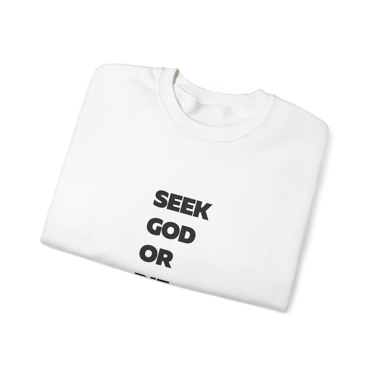 "SEEK GOD OR DIE TRYIN" Sweatshirt