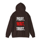 "P.W.T" Heavy Hoodie